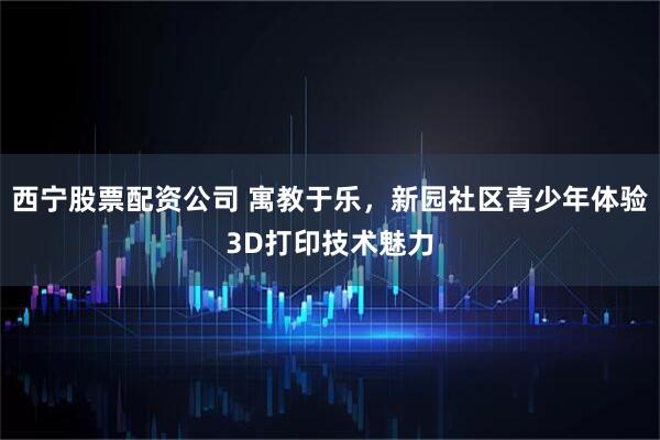 西宁股票配资公司 寓教于乐,新园社区青少年体验3D打印技术魅力