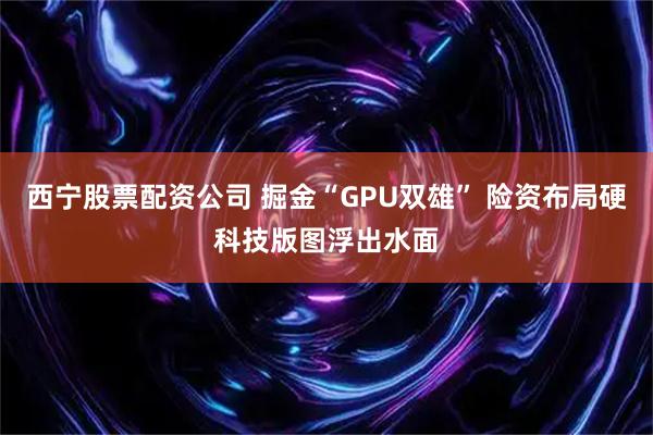 西宁股票配资公司 掘金“GPU双雄” 险资布局硬科技版图浮出水面