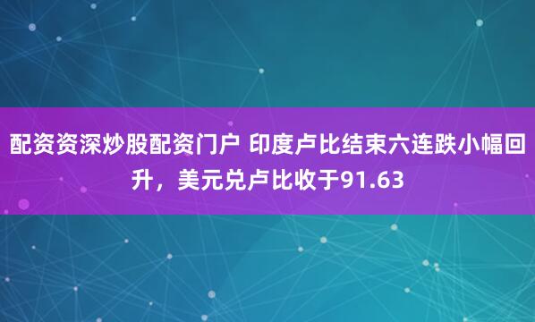 配资资深炒股配资门户 印度卢比结束六连跌小幅回升，美元兑卢比收于91.63