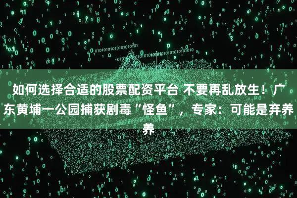如何选择合适的股票配资平台 不要再乱放生！广东黄埔一公园捕获剧毒“怪鱼”，专家：可能是弃养